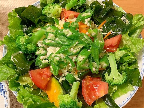 野菜の食物繊維と海藻たっぷり! オクラのサラダ